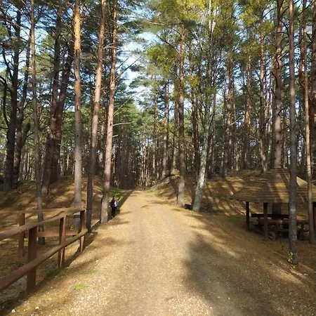 Pod Debami * Choczewo