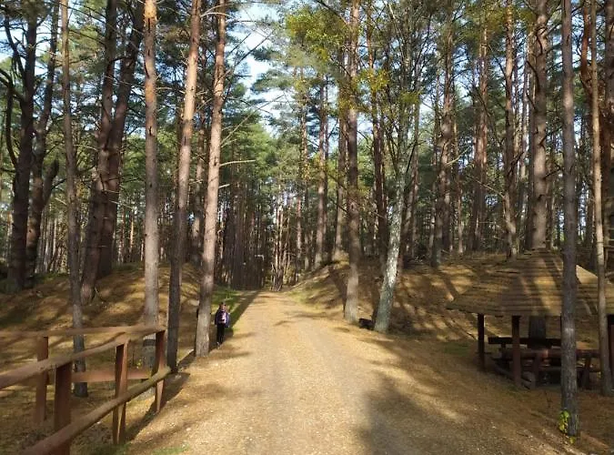 Pod Debami * Choczewo